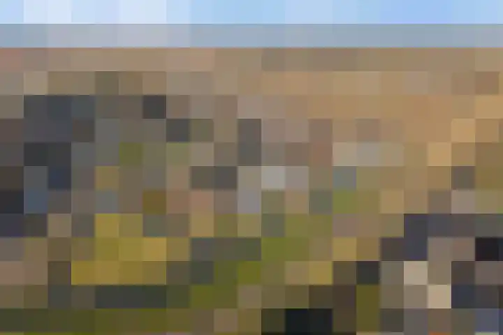 Paltrokmolen 51 Numansdorp thumbnail 87