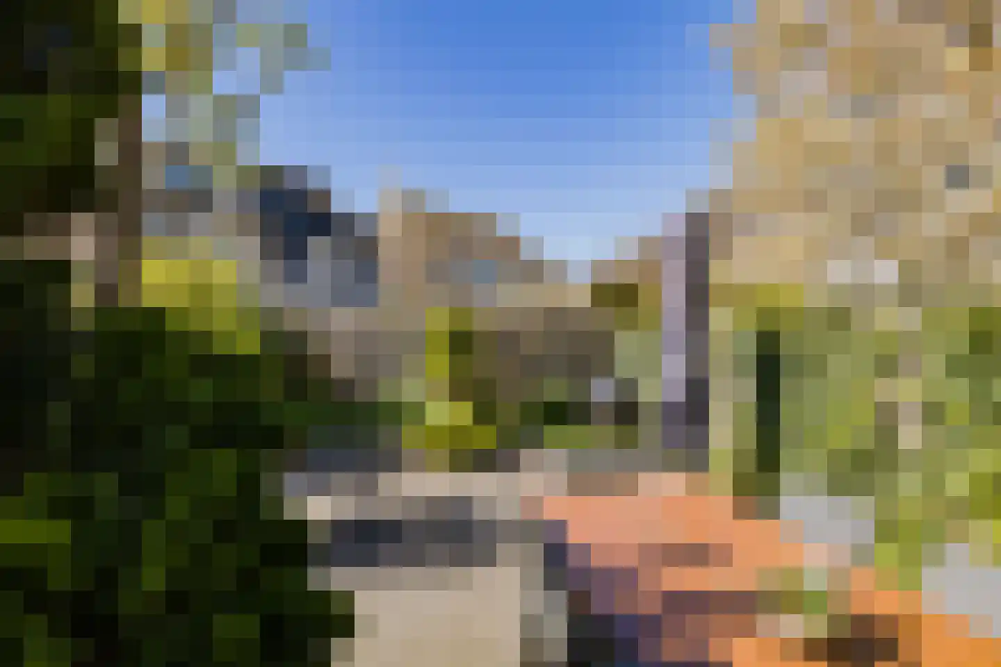 Paltrokmolen 56 Alphen aan den Rijn thumbnail 40