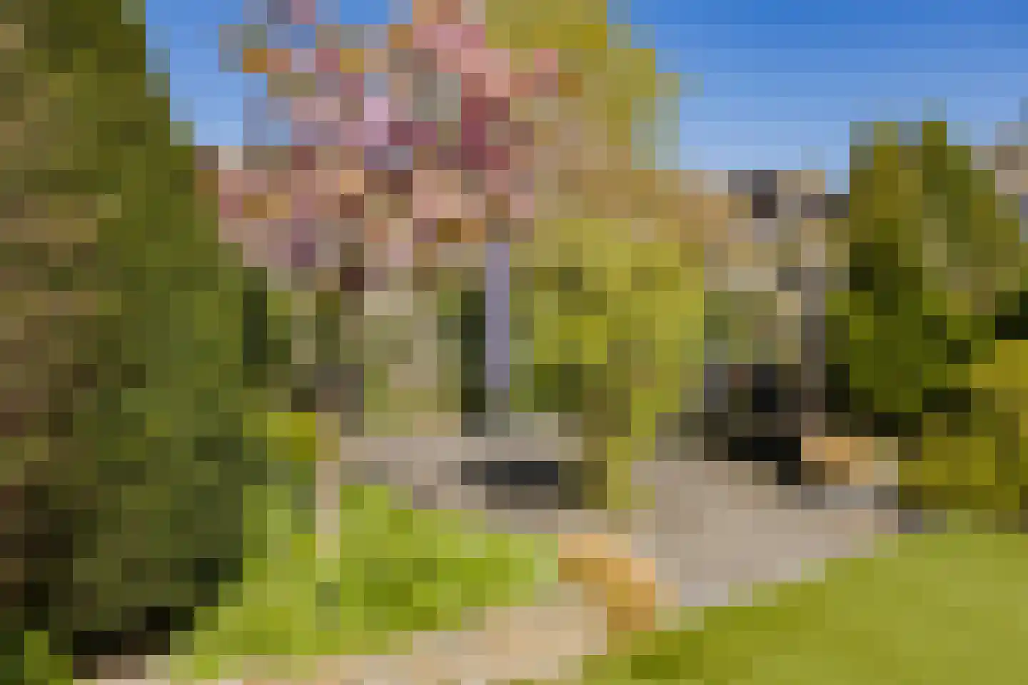 Paltrokmolen 56 Alphen aan den Rijn thumbnail 43