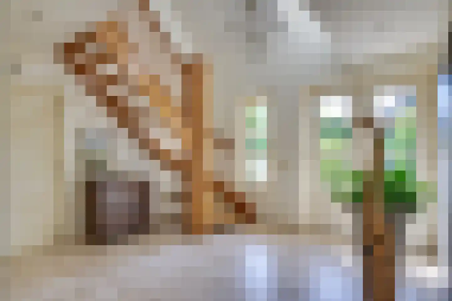 Paltrokmolen 6 Helmond thumbnail 11