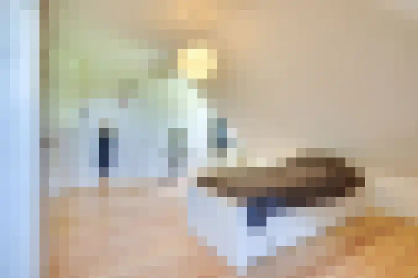 Paltrokmolen 6 Helmond thumbnail 32