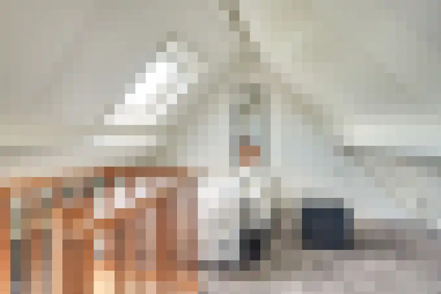 Paltrokmolen 6 Helmond thumbnail 38