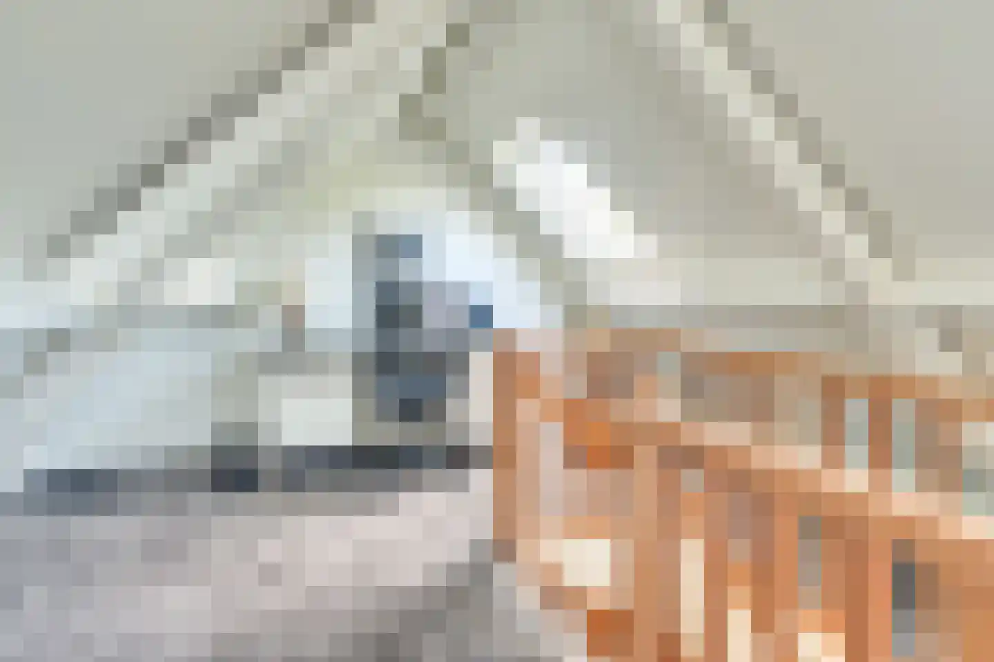 Paltrokmolen 6 Helmond thumbnail 39