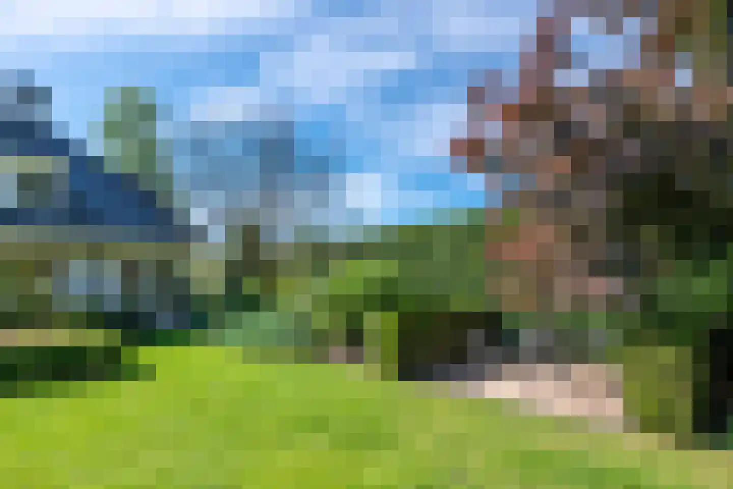 Paltrokmolen 6 Helmond thumbnail 45
