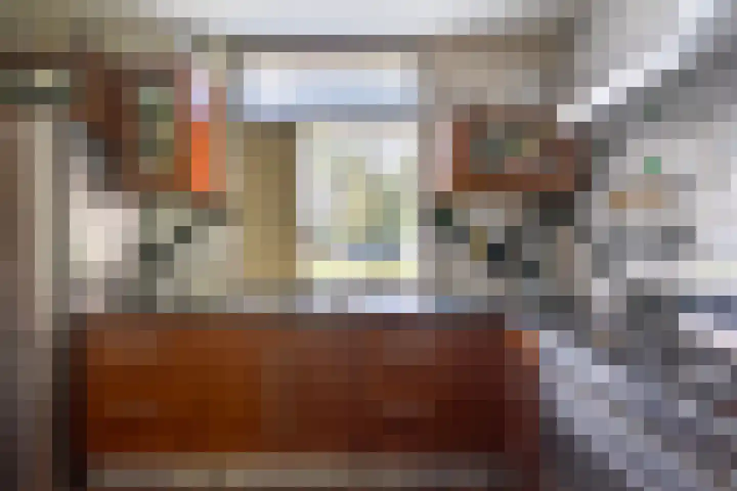 Paltrokmolen 63 Alkmaar thumbnail 13