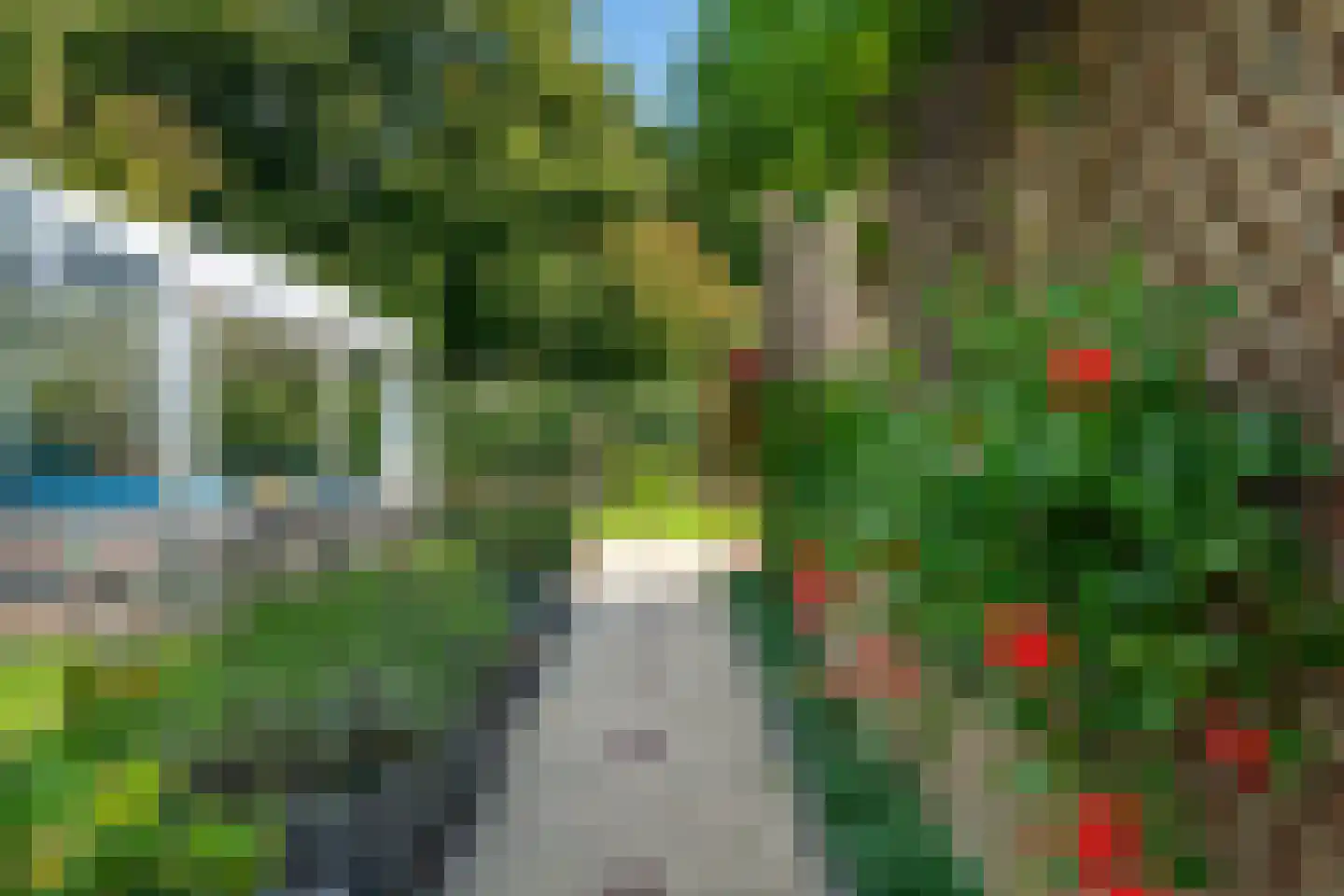 Paltrokmolen 63 Alkmaar thumbnail 39