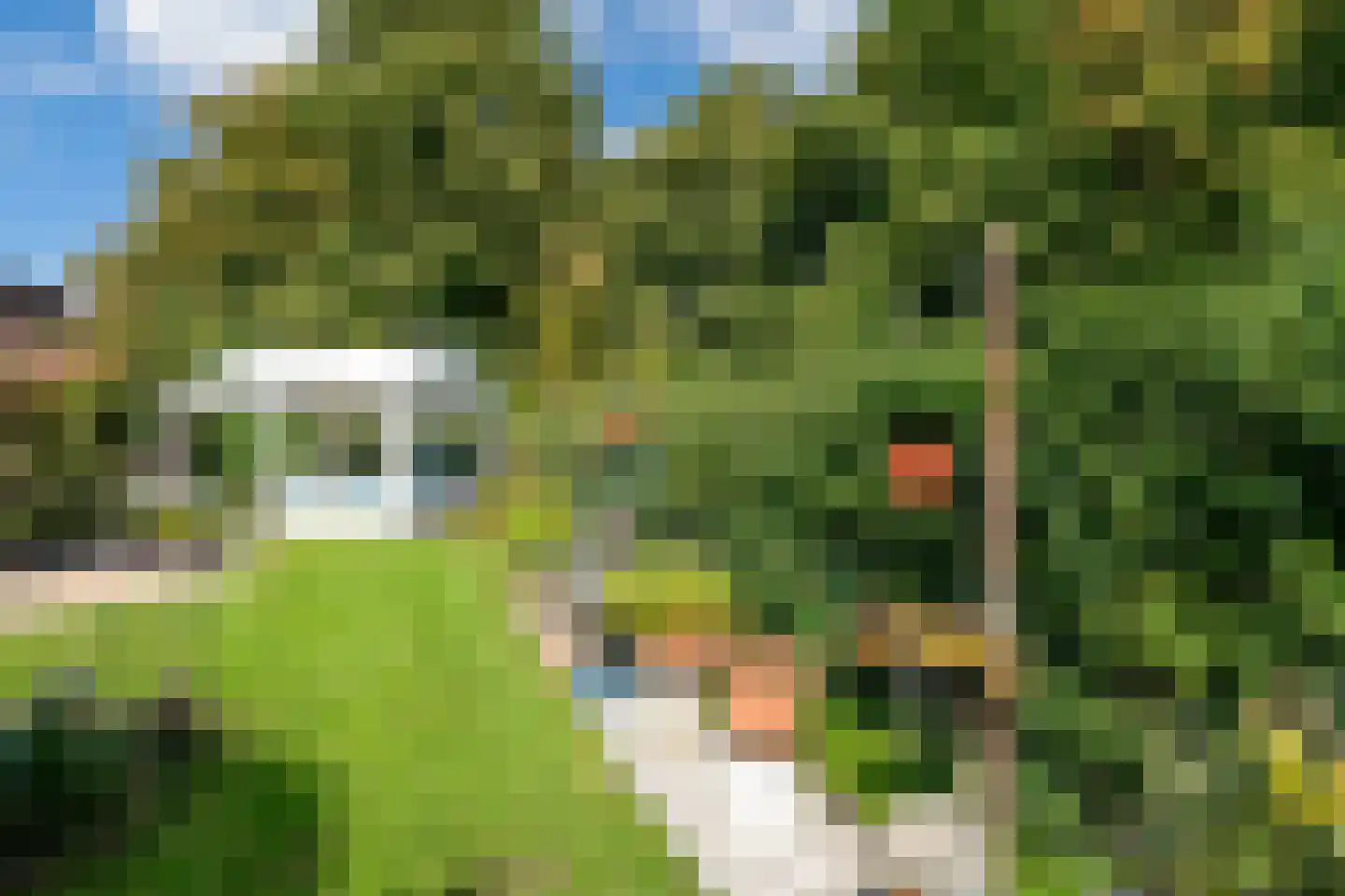 Paltrokmolen 63 Alkmaar thumbnail 42