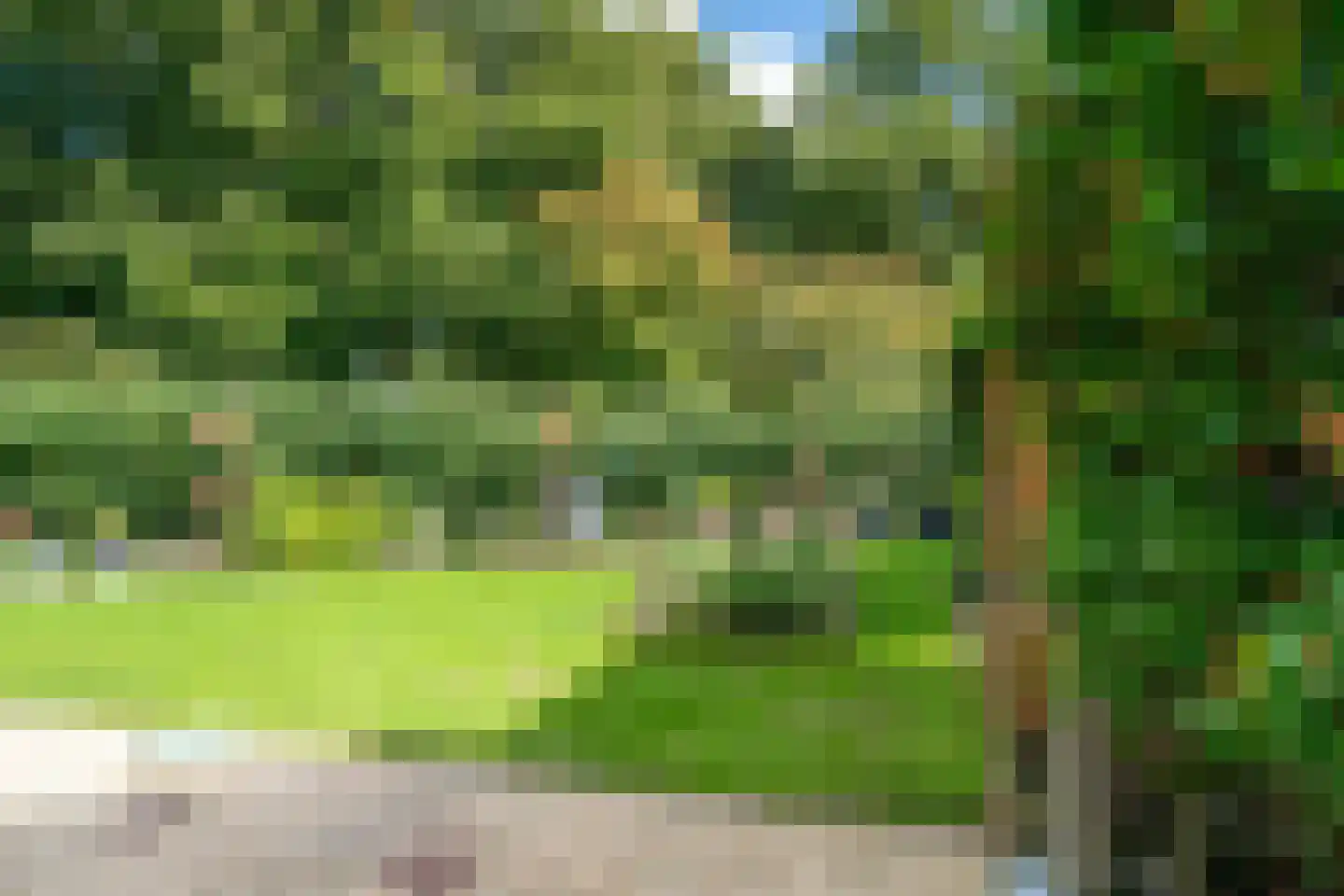Paltrokmolen 63 Alkmaar thumbnail 43