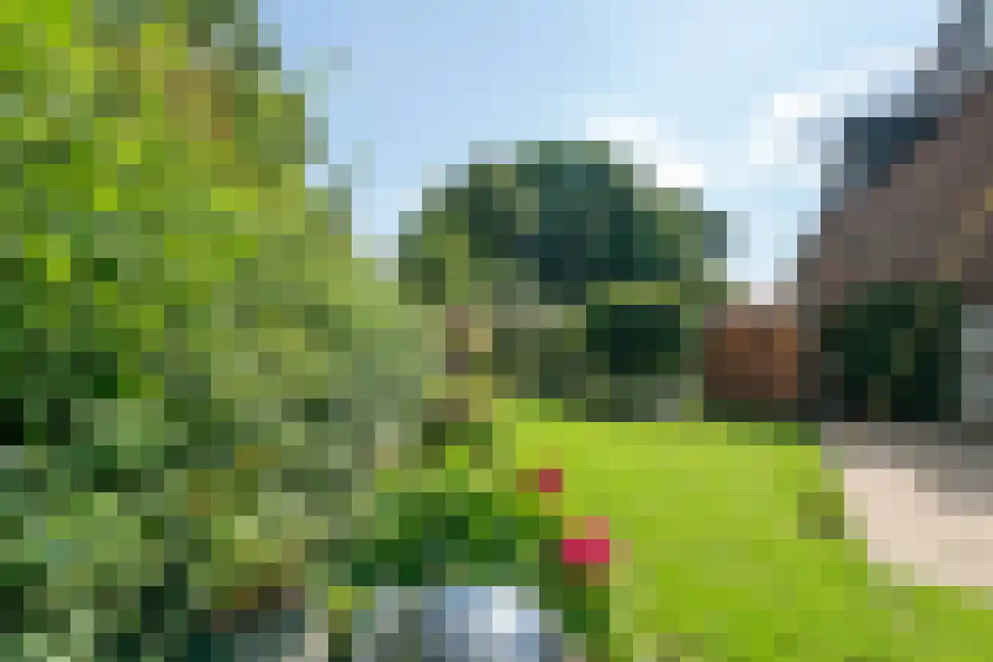 Paltrokmolen 63 Alkmaar thumbnail 44