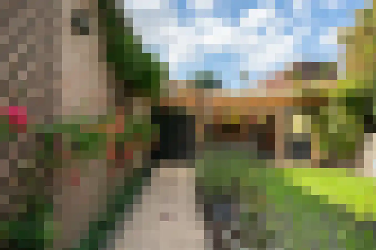 Paltrokmolen 63 Alkmaar thumbnail 45