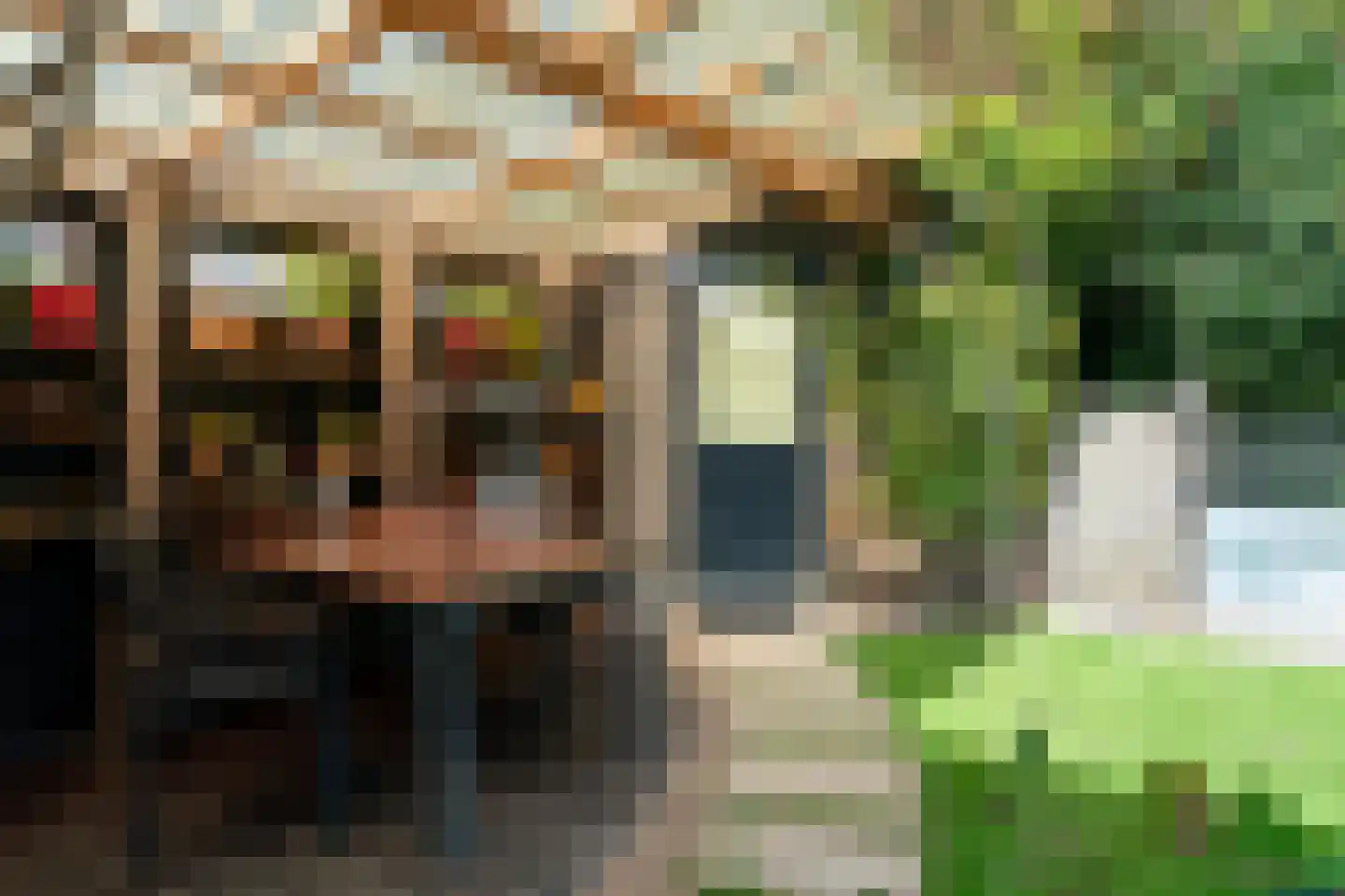 Paltrokmolen 63 Alkmaar thumbnail 46