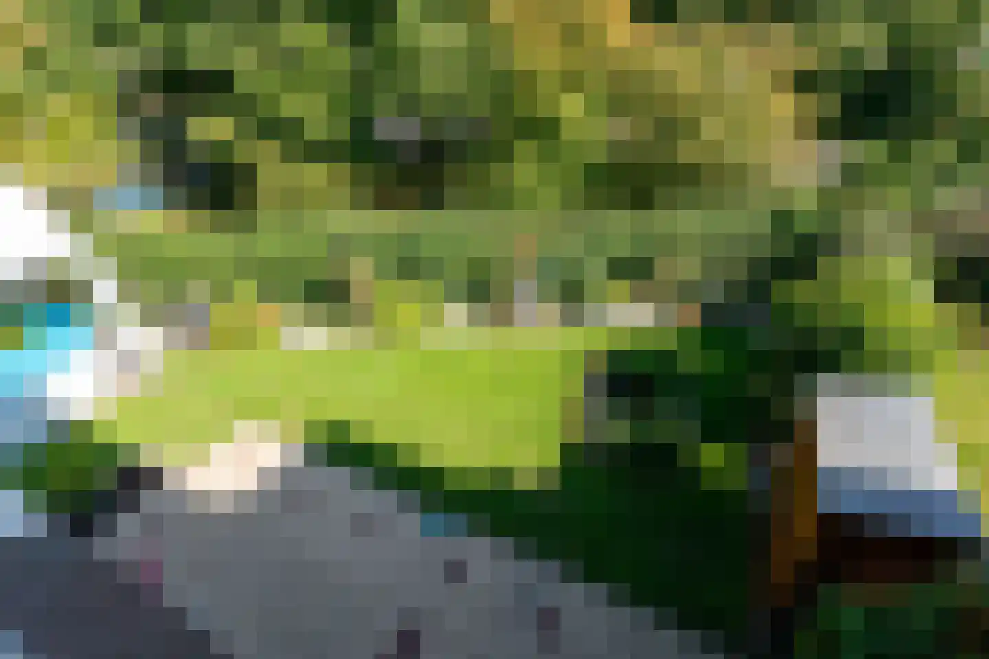 Paltrokmolen 63 Alkmaar thumbnail 47