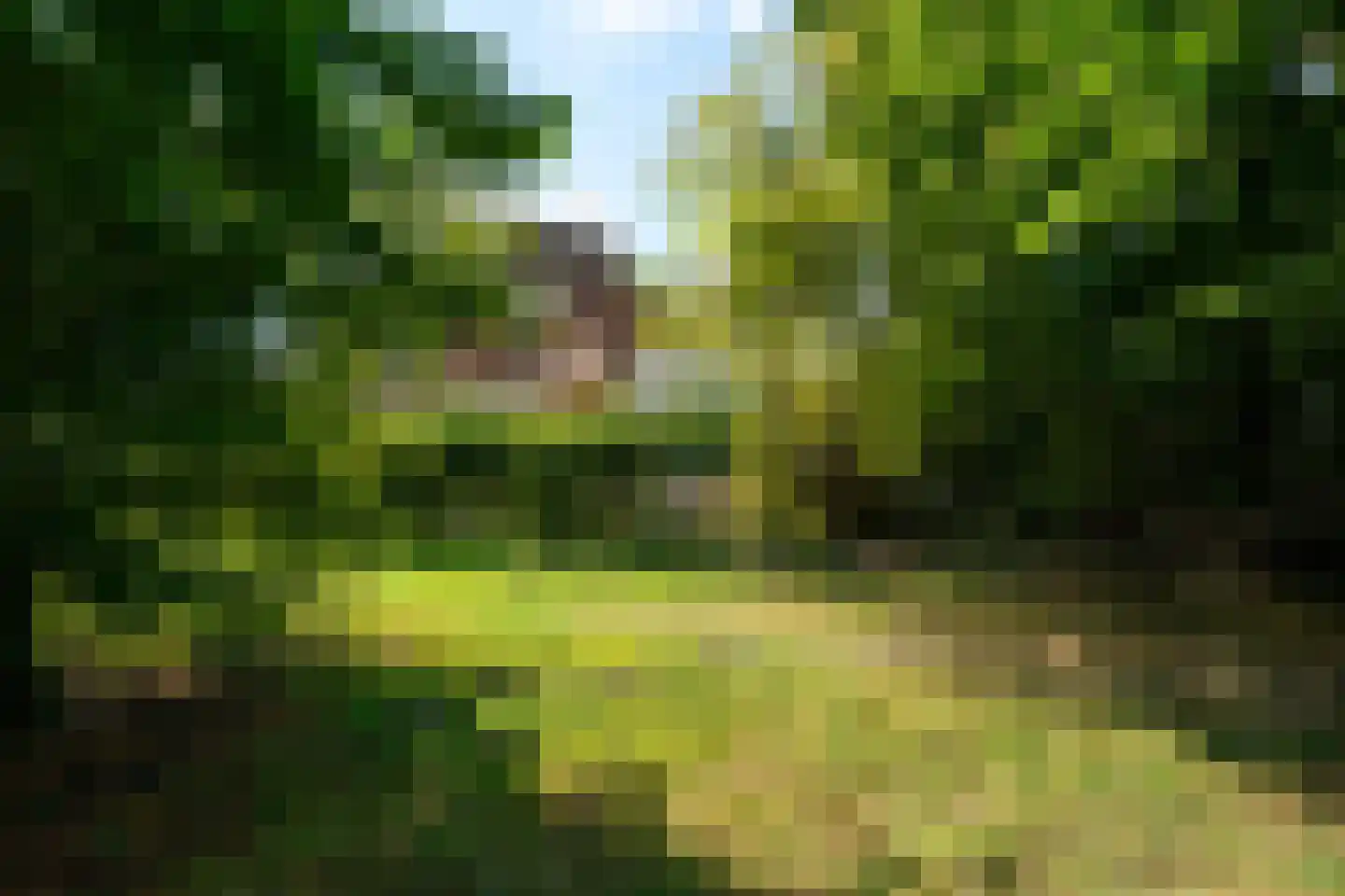 Paltrokmolen 63 Alkmaar thumbnail 51