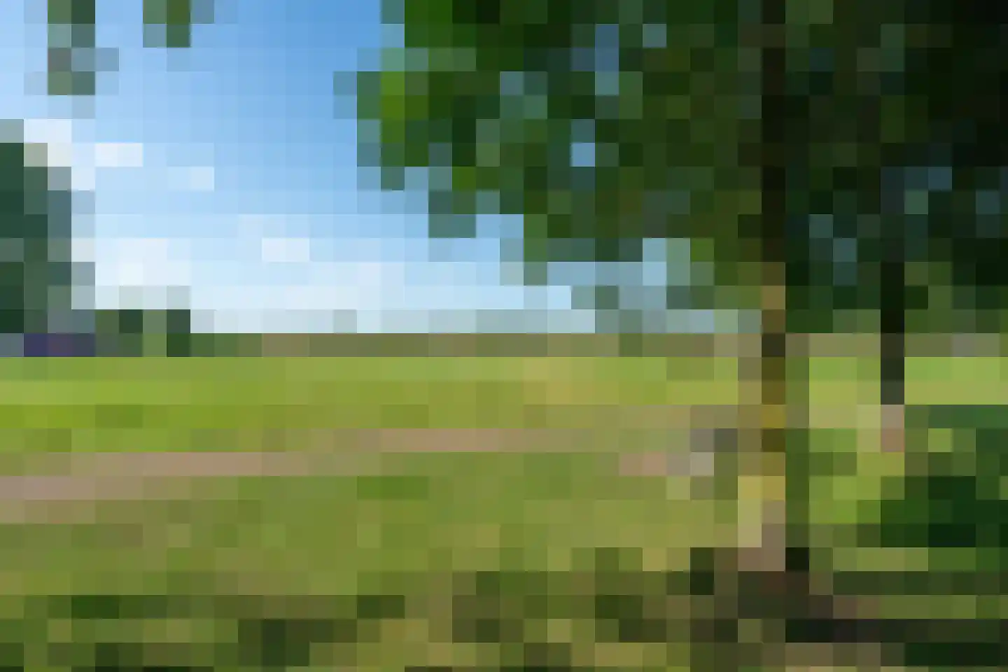 Paltrokmolen 63 Alkmaar thumbnail 53