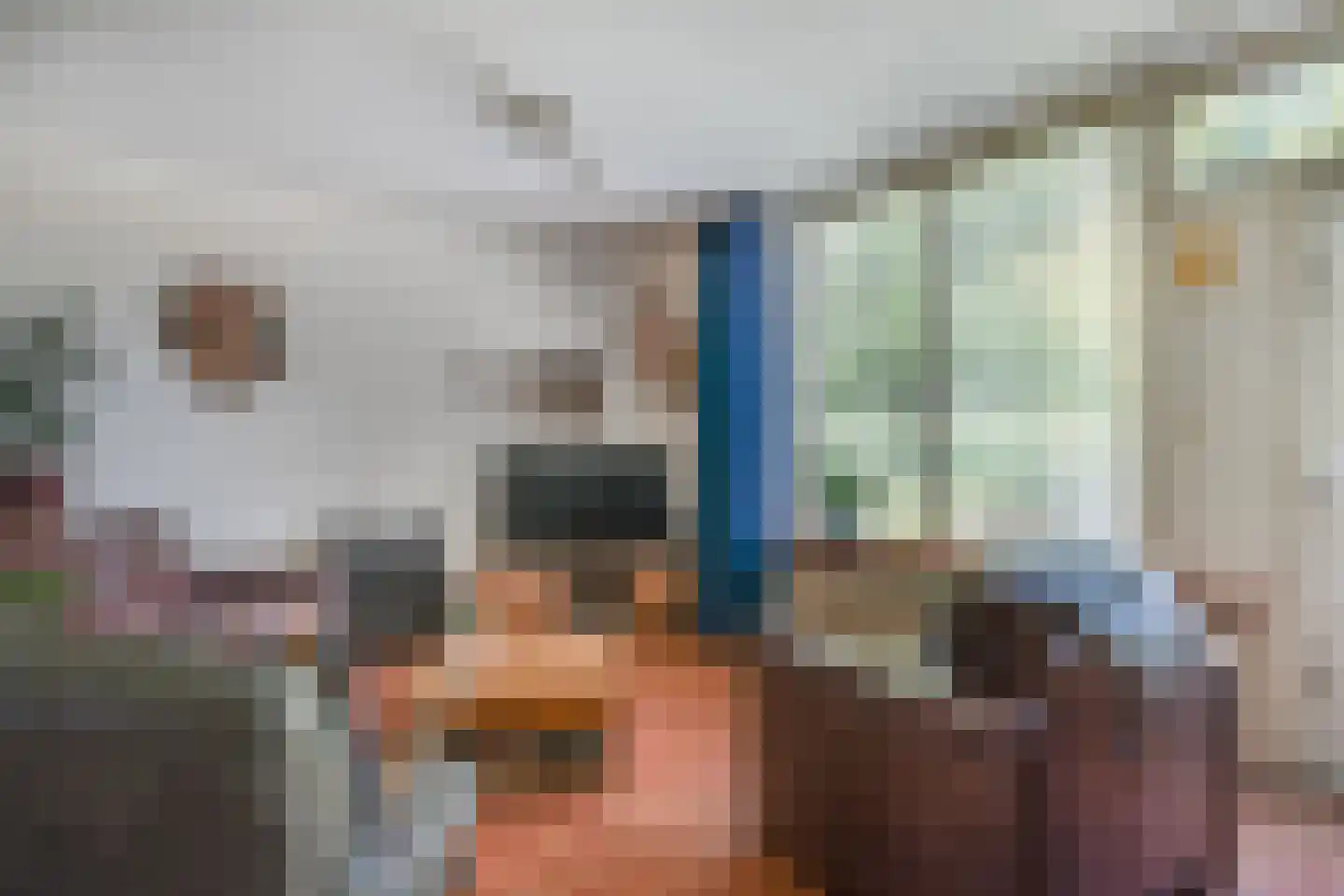 Paltrokmolen 63 Alkmaar thumbnail 7