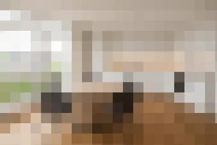 Paltrokmolen 69 Alphen aan den Rijn thumbnail 14