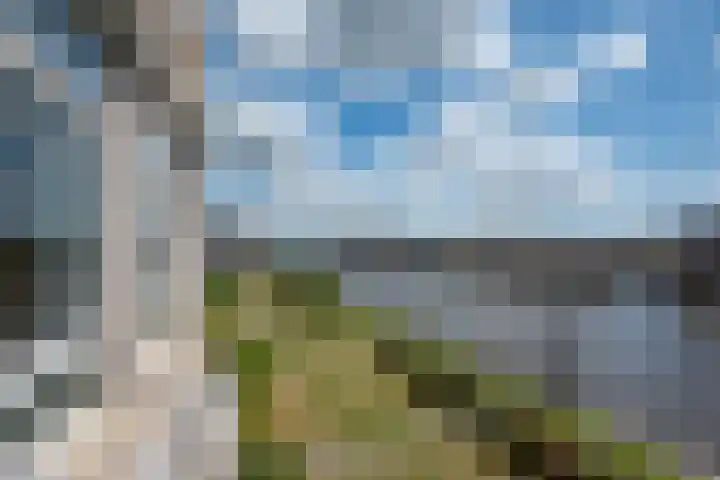 Paltrokmolen 69 Alphen aan den Rijn thumbnail 23