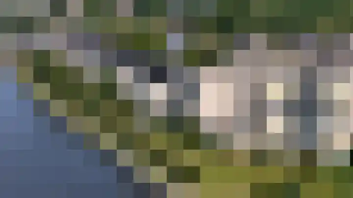 Paltrokmolen 69 Alphen aan den Rijn thumbnail 39