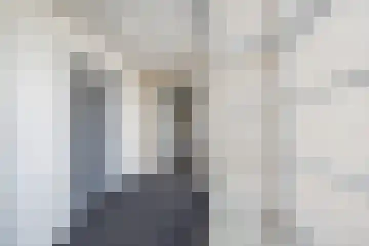 Paltrokmolen 69 Alphen aan den Rijn thumbnail 5