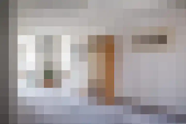 Paltrokmolen 69 Alphen aan den Rijn thumbnail 6