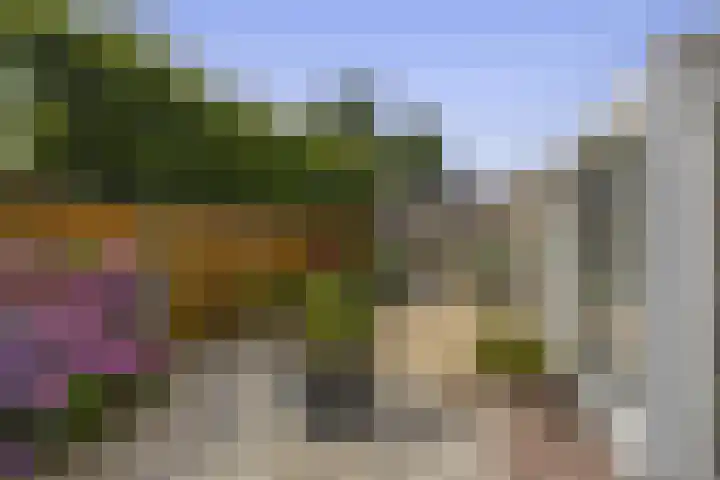 Paltrokmolen 78 Weert thumbnail 36