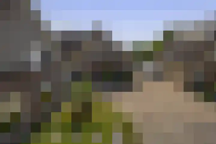 Paltrokmolen 78 Weert thumbnail 43