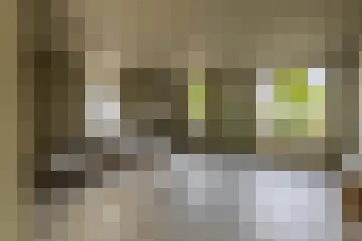 Paltrokmolen 78 Weert thumbnail 8
