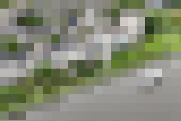 Paltrokmolen 79 in Alphen aan den Rijn