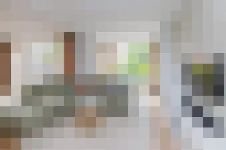 Paltrokmolen 79 Alphen aan den Rijn thumbnail 10