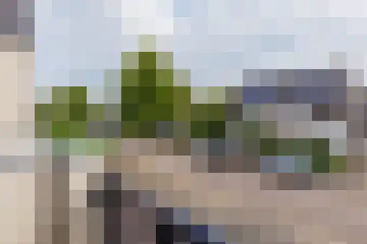 Paltrokmolen 79 Alphen aan den Rijn thumbnail 26
