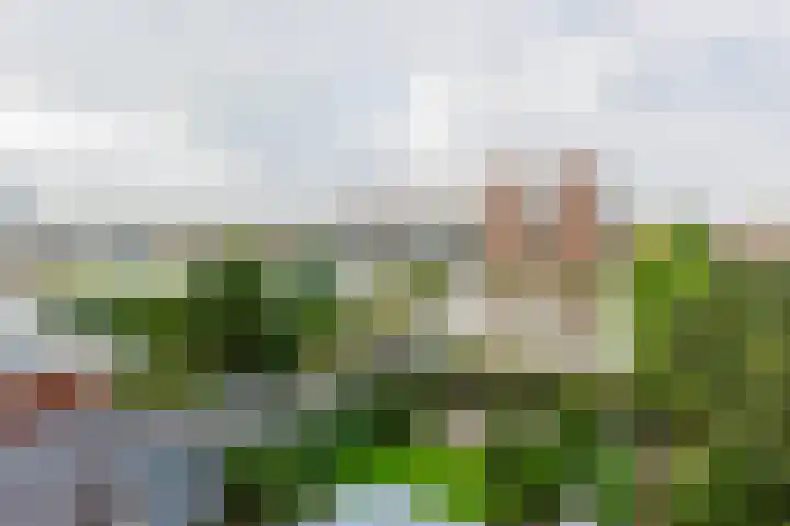 Paltrokmolen 79 Alphen aan den Rijn thumbnail 37