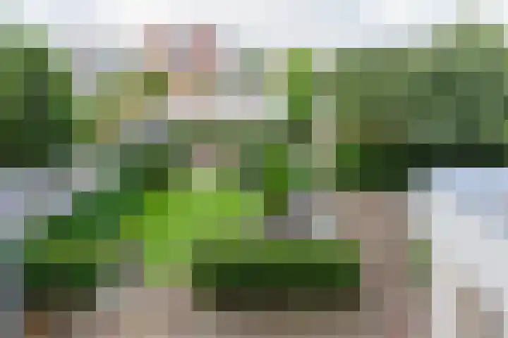 Paltrokmolen 79 Alphen aan den Rijn thumbnail 39