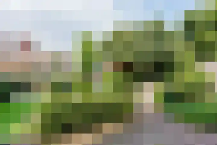 Paltrokmolen 79 Alphen aan den Rijn thumbnail 45