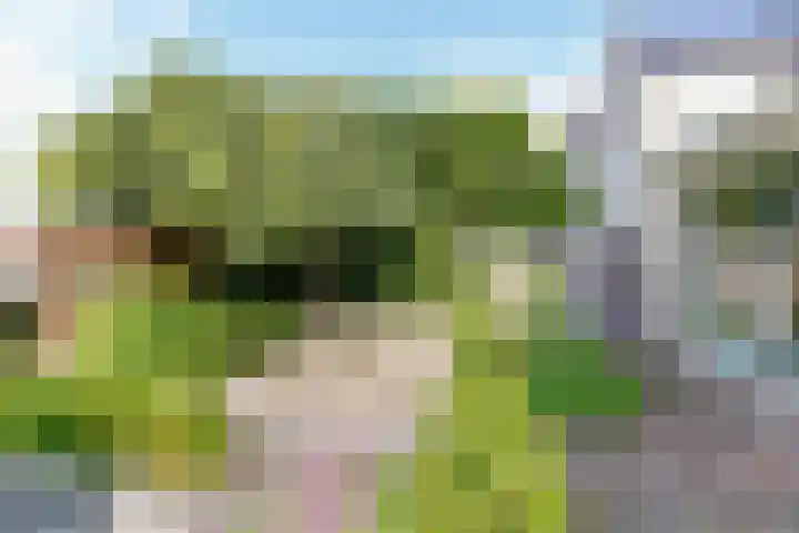 Paltrokmolen 79 Alphen aan den Rijn thumbnail 46
