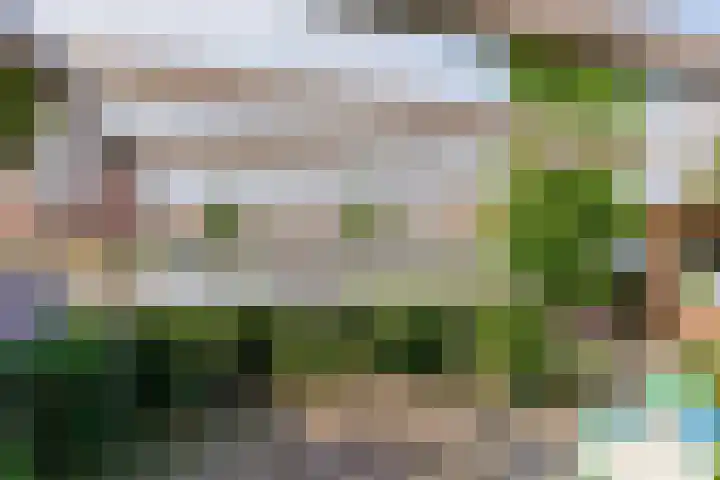 Paltrokmolen 79 Alphen aan den Rijn thumbnail 47