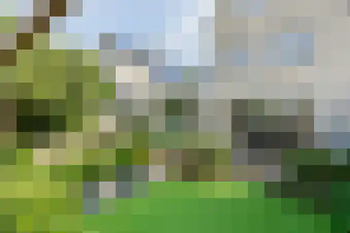 Paltrokmolen 79 Alphen aan den Rijn thumbnail 48