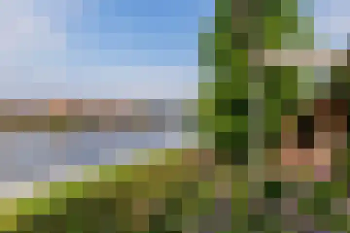 Paltrokmolen 79 Alphen aan den Rijn thumbnail 49
