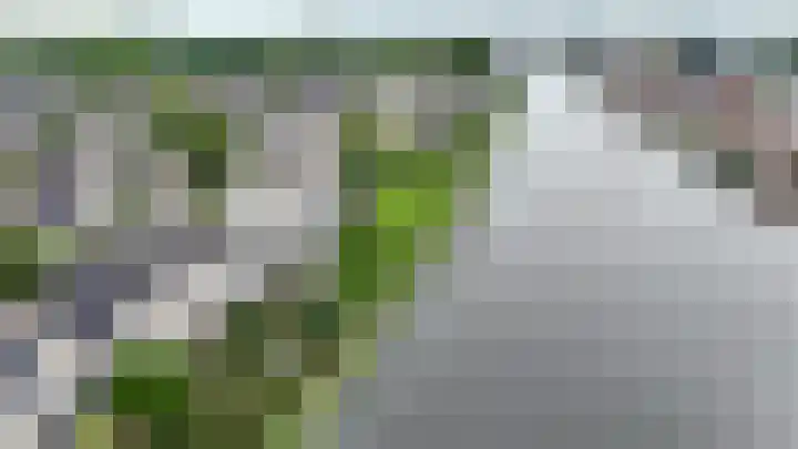 Paltrokmolen 79 Alphen aan den Rijn thumbnail 51