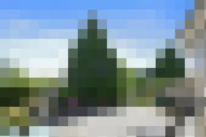 Paltrokmolen 80 Weert thumbnail 31