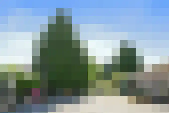 Paltrokmolen 80 Weert thumbnail 32