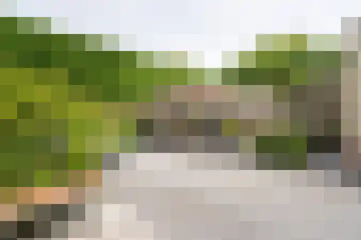 Paltrokmolen 82 Weert thumbnail 34