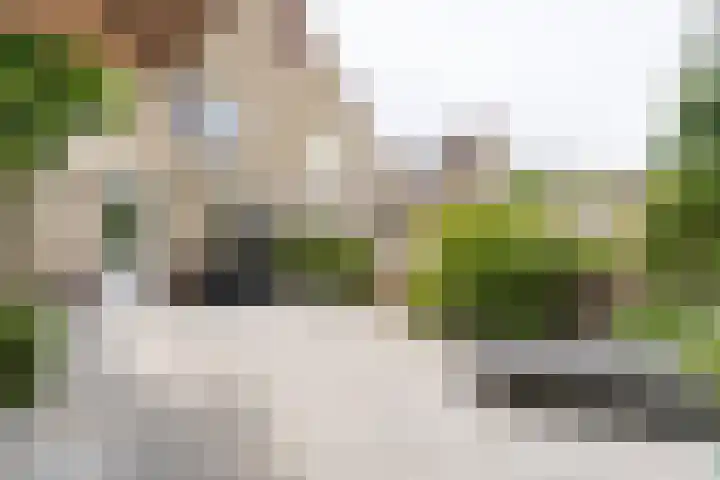 Paltrokmolen 82 Weert thumbnail 36