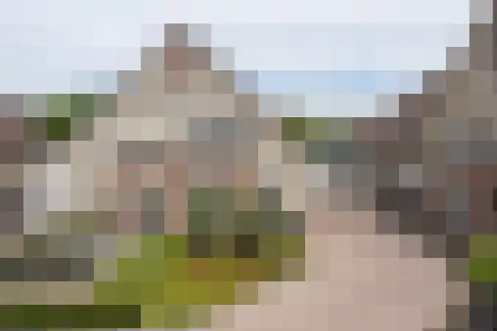 Paltrokmolen 82 Weert thumbnail 39