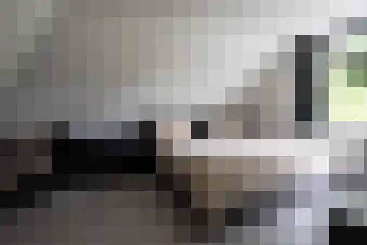 Paltrokmolen 9 Alkmaar thumbnail 19