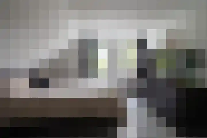 Paltrokmolen 9 Alkmaar thumbnail 20