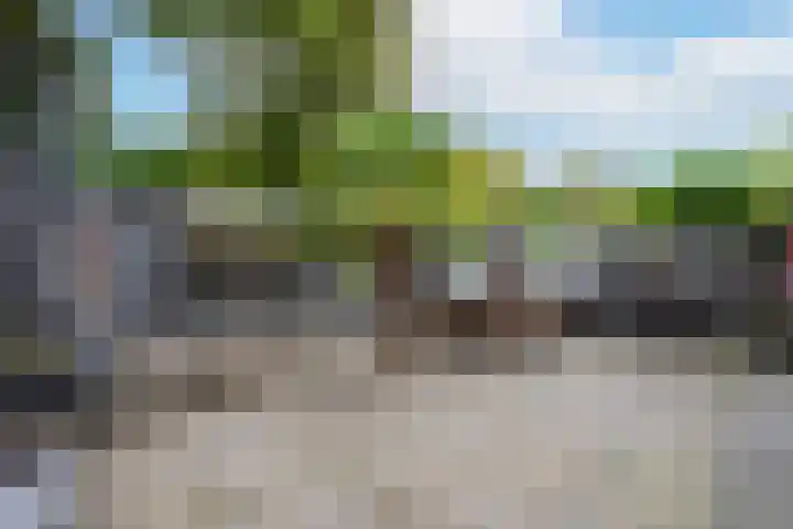 Paltrokmolen 9 Alkmaar thumbnail 29