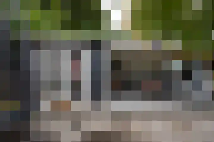 Paltrokmolen 9 Alkmaar thumbnail 30
