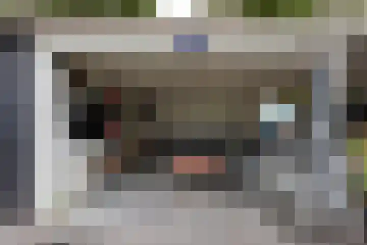 Paltrokmolen 9 Alkmaar thumbnail 31
