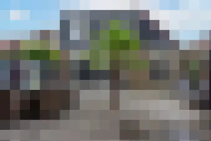 Paltrokmolen 9 Alkmaar thumbnail 33