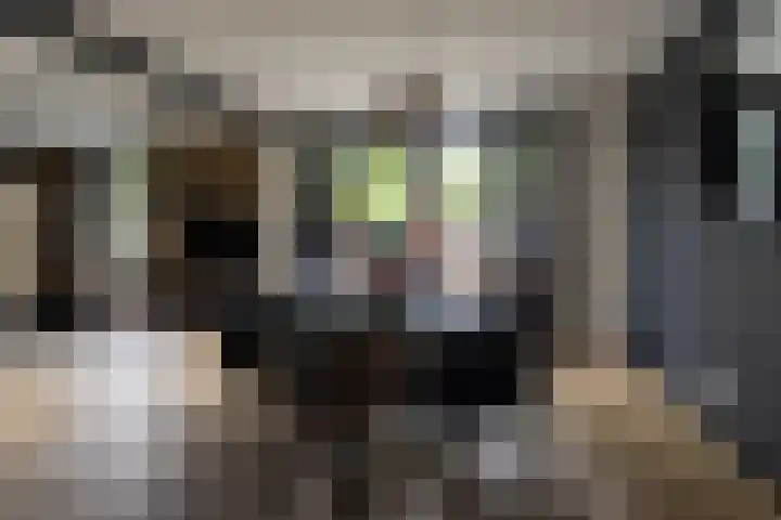 Paltrokmolen 9 Alkmaar thumbnail 4